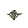 Insigne Militaire De BrevetPara Brillant -Militaire Équipement Magasin Insigne militaire de Brevet Parachutiste Brillant
