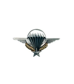 Insigne Militaire De BrevetParachutiste Mat